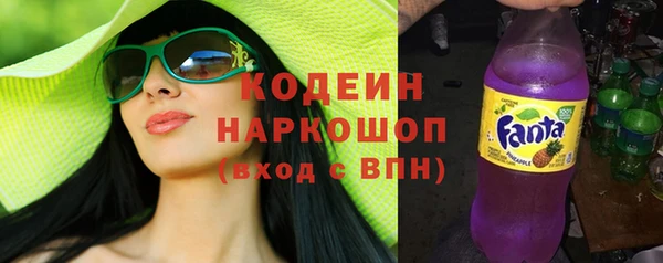 ПСИЛОЦИБИНОВЫЕ ГРИБЫ Богданович