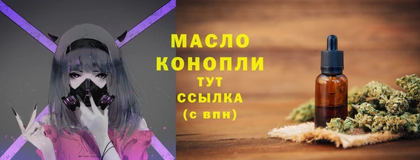 ПСИЛОЦИБИНОВЫЕ ГРИБЫ Богданович