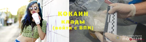 ПСИЛОЦИБИНОВЫЕ ГРИБЫ Богданович