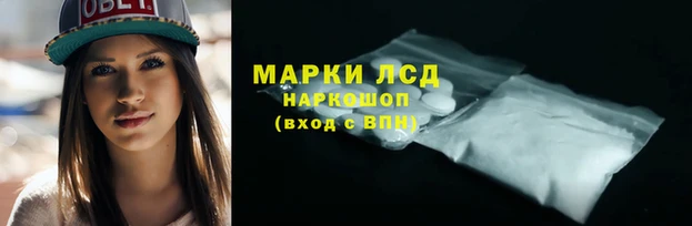 ПСИЛОЦИБИНОВЫЕ ГРИБЫ Богданович