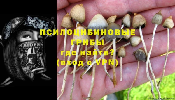 дурь Богородицк