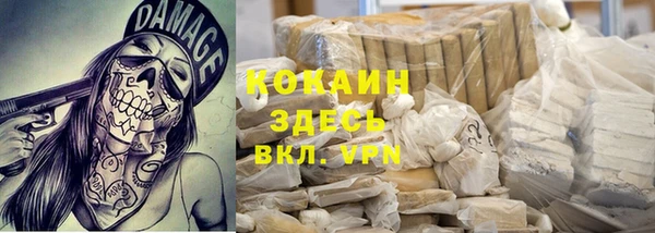 ПСИЛОЦИБИНОВЫЕ ГРИБЫ Богданович