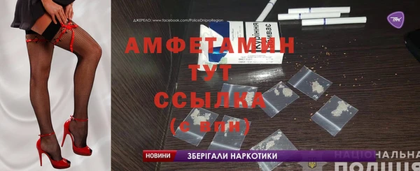 ПСИЛОЦИБИНОВЫЕ ГРИБЫ Богданович